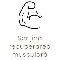 Supports muscle recovery